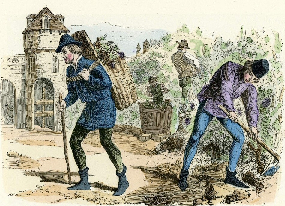 vignerons_XVe